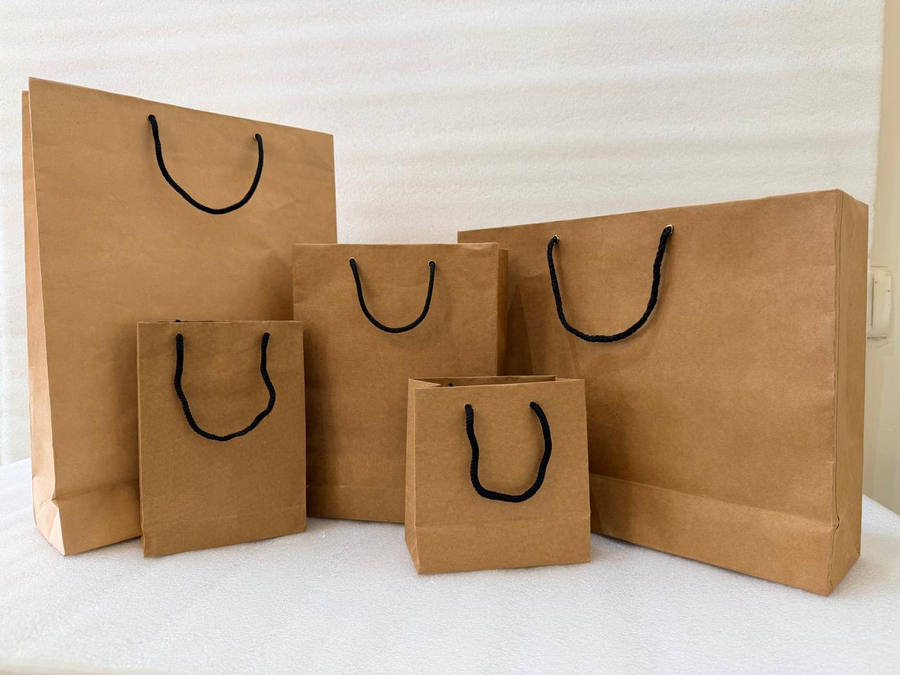 Craft Paper Bag